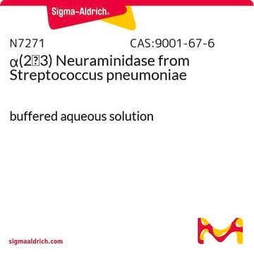 &#945;(2&#8594;3) Neuraminidase from Streptococcus pneumoniae buffered aqueous solution