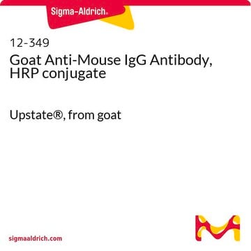 Goat Anti-Mouse IgG Antibody, HRP conjugate Upstate&#174;, from goat