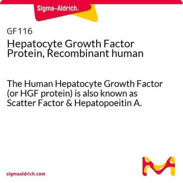 Facteur de croissance des hépatocytes, protéine humaine recombinante The Human Hepatocyte Growth Factor (or HGF protein) is also known as Scatter Factor &amp; Hepatopoeitin A.