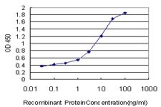 Monoclonal Anti-DAO antibody produced in mouse clone 2F5, purified immunoglobulin, buffered aqueous solution