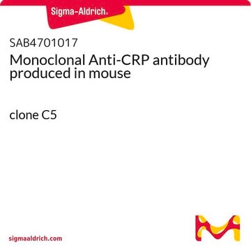 Monoclonal Anti-CRP antibody produced in mouse clone C5