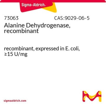 Alanine Dehydrogenase, recombinant recombinant, expressed in E. coli, &#8805;15&#160;U/mg