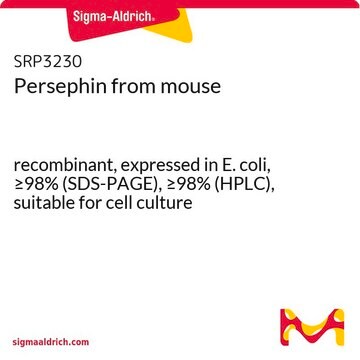 Persephin from mouse recombinant, expressed in E. coli, &#8805;98% (SDS-PAGE), &#8805;98% (HPLC), suitable for cell culture