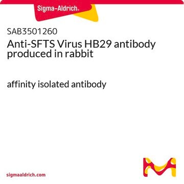 Anti-SFTS Virus HB29 antibody produced in rabbit affinity isolated antibody