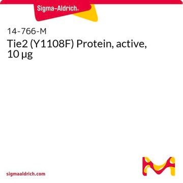 Tie2 (Y1108F) Protein, active, 10 &#181;g