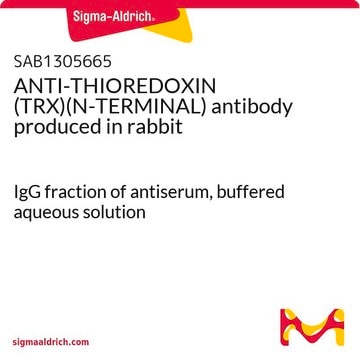 ANTI-THIOREDOXIN (TRX)(N-TERMINAL) antibody produced in rabbit IgG fraction of antiserum, buffered aqueous solution