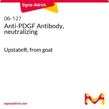 Anticorps anti-PDGF, neutralisant Upstate&#174;, from goat