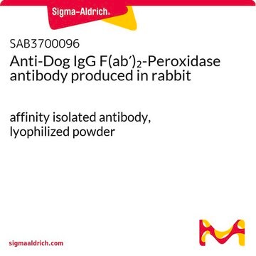 Anti-Dog IgG F(ab&#8242;)2-Peroxidase antibody produced in rabbit affinity isolated antibody, lyophilized powder