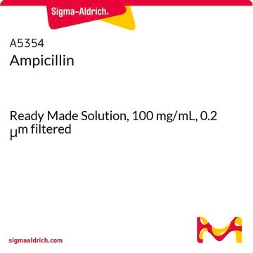 Ampicilina Ready Made Solution, 100&#160;mg/mL, 0.2 &#956;m filtered