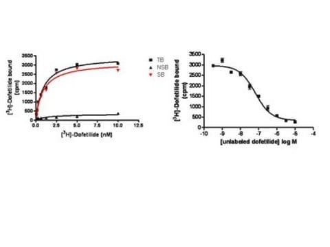 PrecisION&#174; hERG ion channel membrane preparation Human ERG ion channel membrane preparation for Radioligand binding Assays.