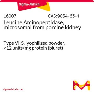 Leucin-Aminopeptidase, mikrosomal aus Schweineniere Type VI-S, lyophilized powder, &#8805;12&#160;units/mg protein (biuret)