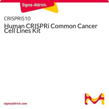 Human CRISPRi Common Cancer Cell Lines Kit