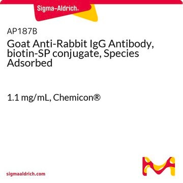 Goat Anti-Rabbit IgG Antibody, biotin-SP conjugate, Species Adsorbed 1.1&#160;mg/mL, Chemicon&#174;