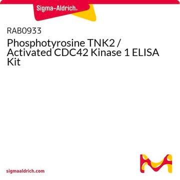 Phosphotyrosine TNK2 / Activated CDC42 Kinase 1 ELISA Kit