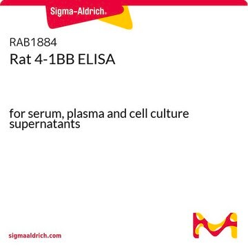 Rat 4-1BB ELISA for serum, plasma and cell culture supernatants