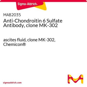 Anticuerpo anti-sulfato de condroitina 6, clon MK-302 ascites fluid, clone MK-302, Chemicon&#174;