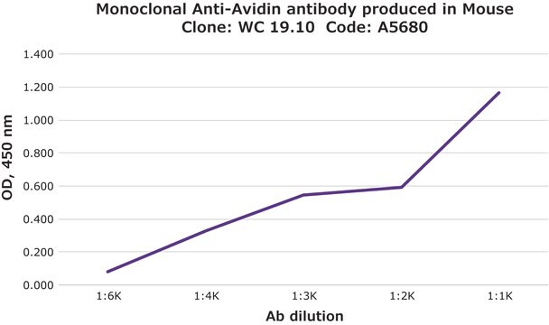 Monoclonal Anti-Avidin antibody produced in mouse clone WC19.10, ascites fluid