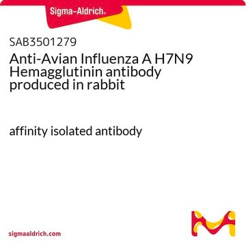 Anti-Avian Influenza A H7N9 Hemagglutinin antibody produced in rabbit affinity isolated antibody