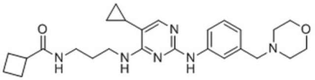 IKK&#949;/TBK1 Inhibitor II, MRT67307