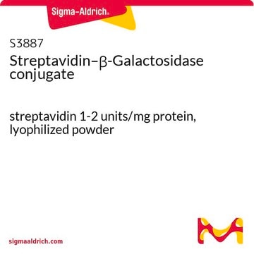 链霉抗生物素蛋白–&#946;-半乳糖苷酶缀合物 streptavidin 1-2&#160;units/mg protein, lyophilized powder