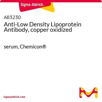 Anti-Low-Density Lipoprotein-Antikörper, kupferoxidiert serum, Chemicon&#174;