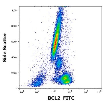 Monoclonal Anti-BCL2 FITC produced in mouse