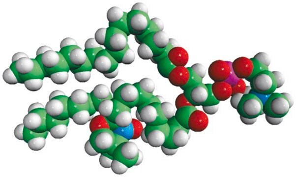 16:0-10 Doxyl PC Avanti Research&#8482; - A Croda Brand 810603C