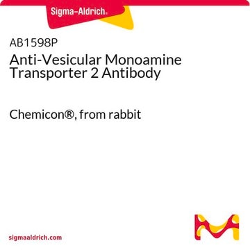 Anticuerpo anti-transportador de monoamina vesicular 2 Chemicon&#174;, from rabbit