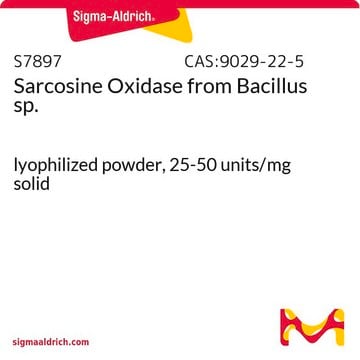 Sarcosine Oxidase from Bacillus sp. lyophilized powder, 25-50&#160;units/mg solid