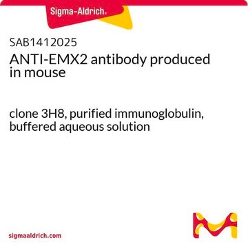 ANTI-EMX2 antibody produced in mouse clone 3H8, purified immunoglobulin, buffered aqueous solution