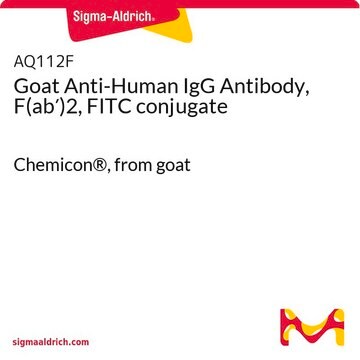 Anti-Human-IgG-Antikörper von der Ziege, F(ab&#8242;)2, FITC-Konjugat Chemicon&#174;, from goat