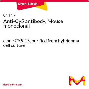 Anti-Cy5 antibody, Mouse monoclonal clone CY5-15, purified from hybridoma cell culture