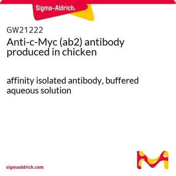 Anti-c-Myc (ab2) antibody produced in chicken affinity isolated antibody, buffered aqueous solution