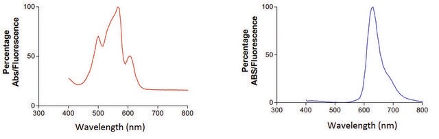 Monoclonal Anti-Neuroligin - Pe/Atto 594 antibody produced in mouse clone S98-7, purified immunoglobulin