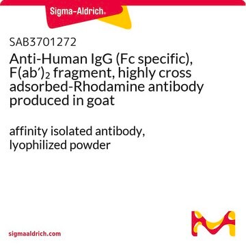 Anti-Human IgG (Fc specific), F(ab&#8242;)2 fragment, highly cross adsorbed-Rhodamine antibody produced in goat affinity isolated antibody, lyophilized powder