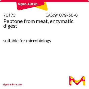 Peptone from meat, enzymatic digest suitable for microbiology