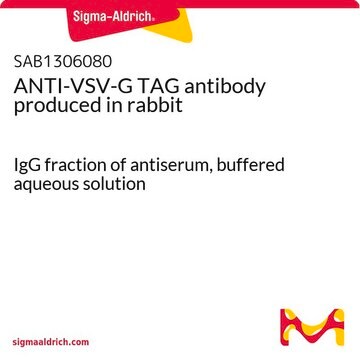 ANTI-VSV-G TAG antibody produced in rabbit IgG fraction of antiserum, buffered aqueous solution