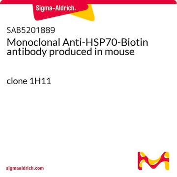 Monoclonal Anti-HSP70-Biotin antibody produced in mouse clone 1H11