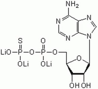 Adenosine 5&#8242;-O-(2-Thiodiphosphate), Trilithium Salt A P&#8322;-purinergic receptor agonist that acts as a potent insulin secretagogue.