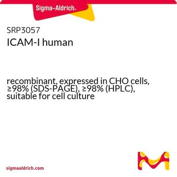 ICAM-I human recombinant, expressed in CHO cells, &#8805;98% (SDS-PAGE), &#8805;98% (HPLC), suitable for cell culture