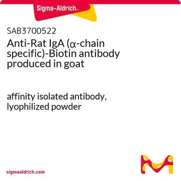 Anti-Rat IgA (&#945;-chain specific)-Biotin antibody produced in goat affinity isolated antibody, lyophilized powder