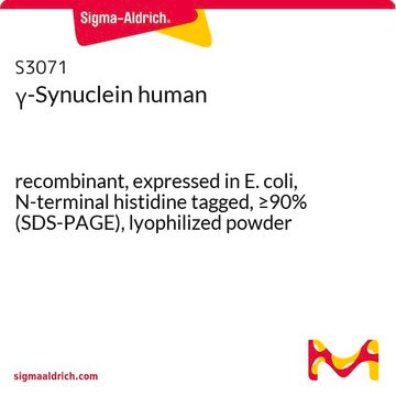 &#947;-Synuclein human recombinant, expressed in E. coli, N-terminal histidine tagged, &#8805;90% (SDS-PAGE), lyophilized powder