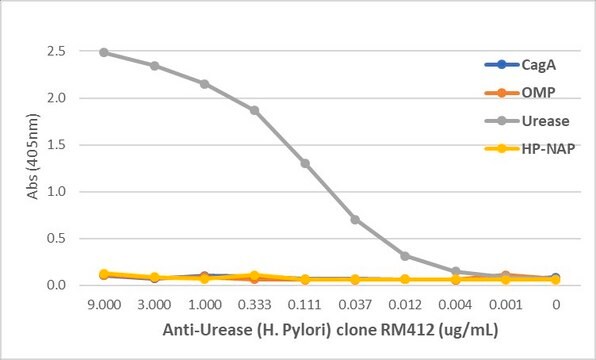 Anti-Urease (Helicobacter Pylori) Rabbit Monoclonal Antibody clone RM412, affinity purified immunoglobulin