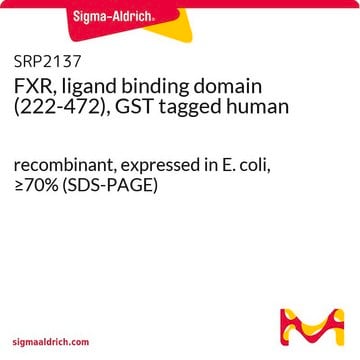 FXR, ligand binding domain (222-472), GST tagged human recombinant, expressed in E. coli, &#8805;70% (SDS-PAGE)