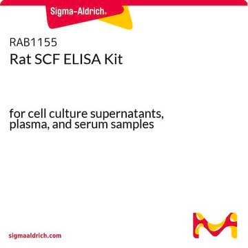 Rat SCF ELISA Kit for cell culture supernatants, plasma, and serum samples