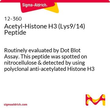 乙酰基组蛋白H3（Lys9/14）肽 Routinely evaluated by Dot Blot Assay. This peptide was spotted on nitrocellulose &amp; detected by using polyclonal anti-acetylated Histone H3 (06-599).