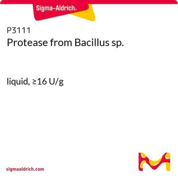 Protease aus Bacillus sp. liquid, &#8805;16&#160;U/g