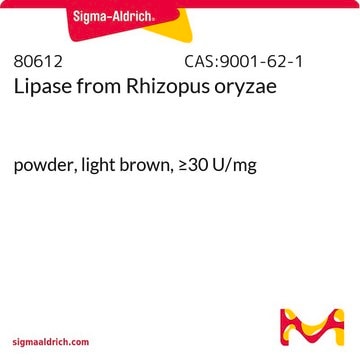 Lipase from Rhizopus oryzae powder, light brown, &#8805;30&#160;U/mg