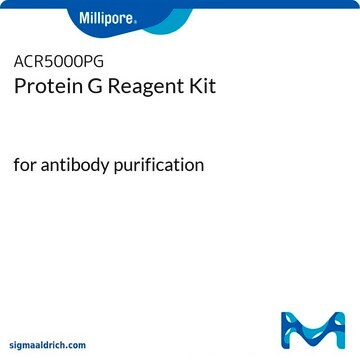 Kit de reactivos proteína G. for antibody purification