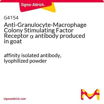 Anti-Granulocyte-Macrophage Colony Stimulating Factor Receptor &#945; antibody produced in goat affinity isolated antibody, lyophilized powder